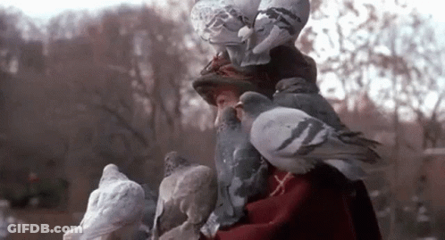 A Woman Is Surrounded By Pigeons While Wearing A Hat . GIF