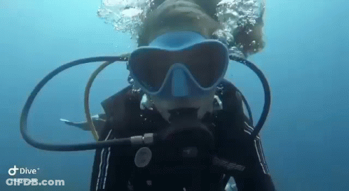 A Woman Is Swimming In The Ocean Wearing A Scuba Mask . GIF