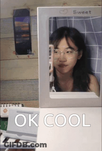 A Woman Is Taking A Picture Of Herself In A Mirror And The Words Ok Cool Are Below Her GIF