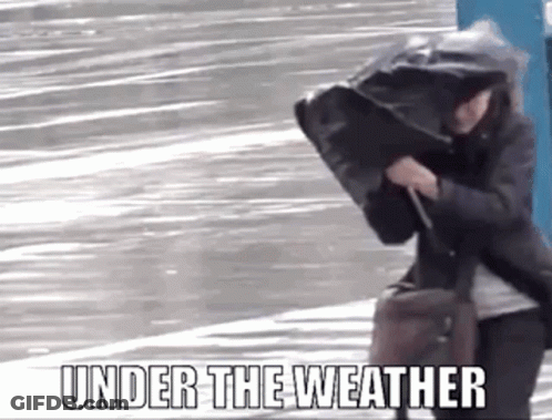 A Woman Is Walking Down The Street With A Bag On Her Head And The Words `` Under The Weather '' Written Above Her . GIF