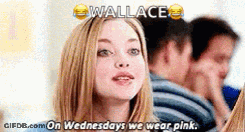 A Woman Is Wearing Pink On Wednesdays While Talking To A Group Of People . GIF
