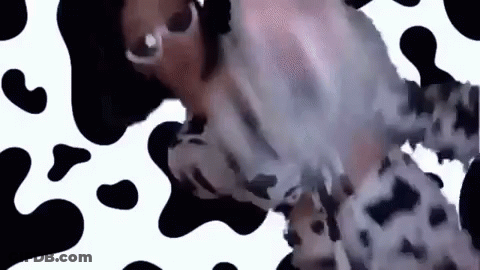A Woman Is Wearing Sunglasses And A Cow Print Dress . GIF
