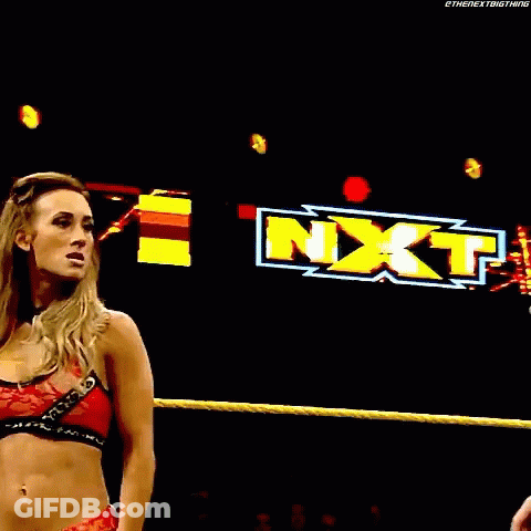 A Woman Is Wrestling A Man In A Wrestling Ring With A W Logo In The Background . GIF