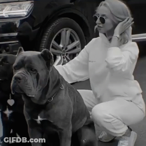 A Woman Kneeling Down Next To Two Dogs One Of Which Has A Tag On It GIF