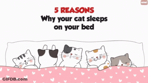 A Woman Laying In Bed With A Cat And The Words " Your Body Heat Is Alluring " Above Her GIF