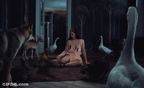 A Woman Laying On The Floor Surrounded By Dogs And Geese GIF