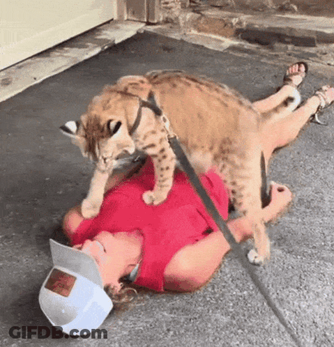 A Woman Laying On The Ground With A Cat On Her Head GIF