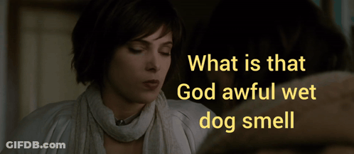 A Woman Looking At Herself In A Mirror With The Words What Is That God Awful Wet Dog Smell GIF