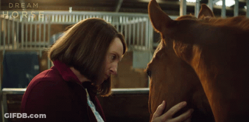 A Woman Petting A Horse In A Stable With The Words Dream Horse On The Fence GIF