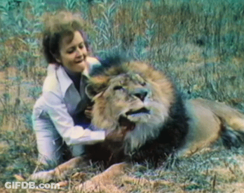 A Woman Petting A Lion In A Field GIF