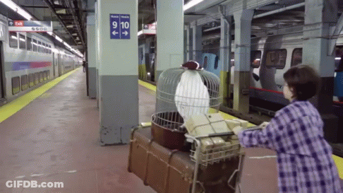 A Woman Pushes A Cart With A Bird In A Cage In Front Of A Sign That Says 9 10 GIF
