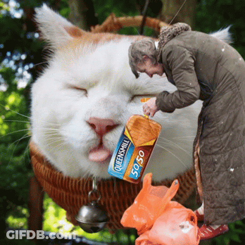 A Woman Reaches For A Can Of Queensmill 50:50 GIF