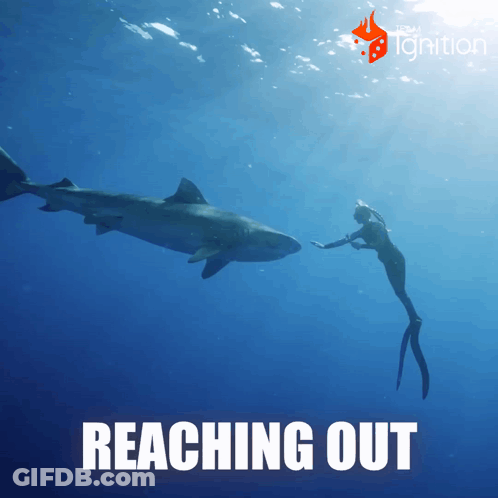 A Woman Reaching Out To A Shark In The Ocean With The Words Reaching Out Below Her GIF