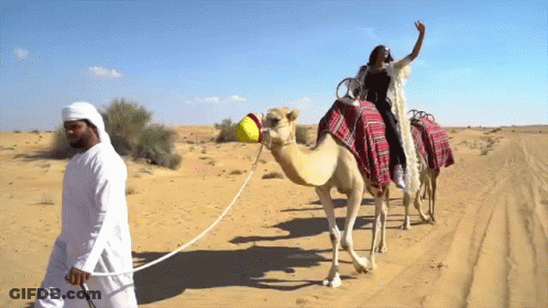 A Woman Riding On The Back Of A Camel Being Pulled By A Man GIF