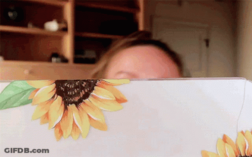 A Woman 'S Face Is Visible Behind A White Item With Sunflowers Painted On It GIF