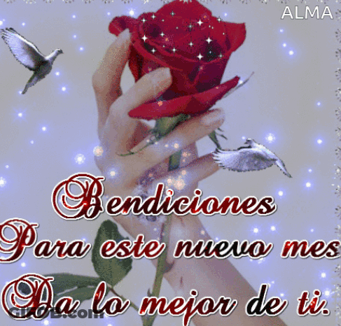 A Woman 'S Hand Holding A Red Rose With The Words Bendiciones Para Este Nuevo Mes GIF