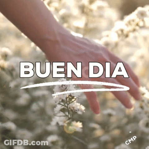 A Woman 'S Hand Is Touching A Flower With The Words Bueno Dia Written Above It GIF