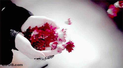 A Woman 'S Hands Are Holding A Pile Of Red Flowers GIF