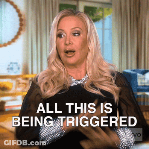 A Woman Says " All This Is Being Triggered " In Front Of A Living Room GIF