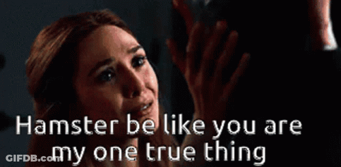 A Woman Says Hamster Be Like You Are My One True Thing In A Dark Room GIF