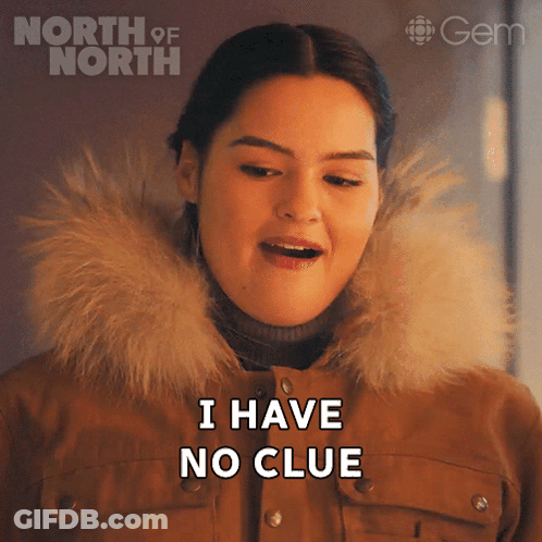 A Woman Says I Have No Clue In Front Of A North Of North Logo GIF