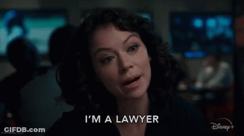 Woman Saying I'm A Lawyer In Front Of Disney GIF