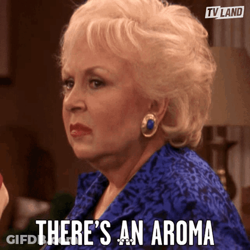 A Woman Says There 'S An Aroma In A Tv Land Ad GIF