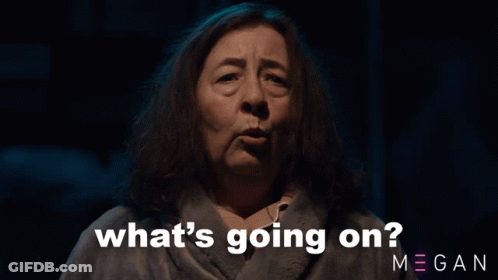 A Woman Says What 'S Going On Megan GIF