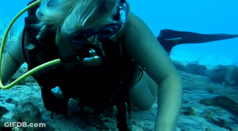 A Woman Scuba Diving In The Ocean With A Yellow Hose Coming Out Of Her Mouth GIF