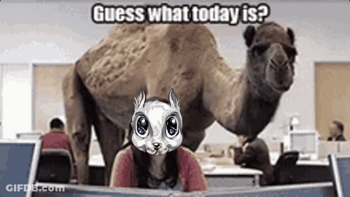 A Woman Sitting In Front Of A Computer With A Camel Behind Her And The Words " Guess What Today Is " On The Bottom GIF