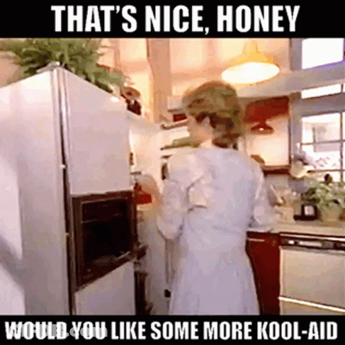 A Woman Standing In A Kitchen With The Words That 'S Nice Honey Would You Like Some More Kool-Aid Below Her GIF
