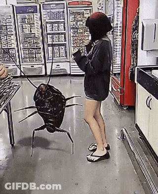A Woman Standing Next To A Cockroach On A Leash GIF