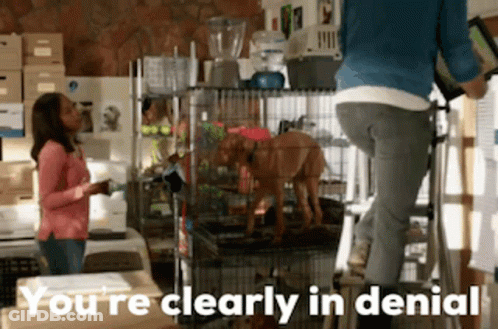 A Woman Standing On A Ladder Next To A Dog In A Cage With The Words You 'Re Clearly In Denial GIF