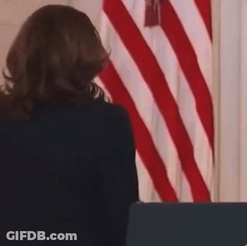 A Woman Stands At A Podium In Front Of A Flag GIF