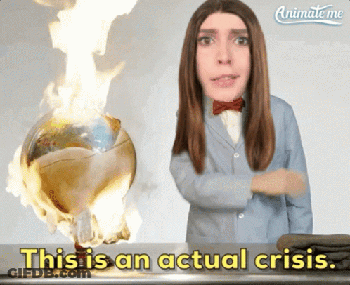 A Woman Stands In Front Of A Burning Globe With The Words This Is An Actual Crisis Below Her GIF