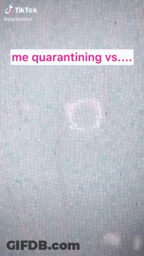 A Woman Stands In Front Of A Wall That Says " Me Quarantining Vs ... " GIF