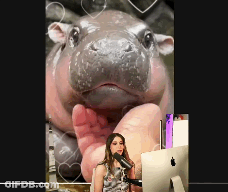 A Woman Stands In Front Of An Apple Computer With A Hippopotamus In The Background GIF