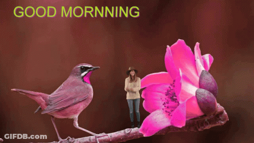A Woman Stands Next To A Pink Flower And A Bird With The Words Good Morning Written Above It GIF