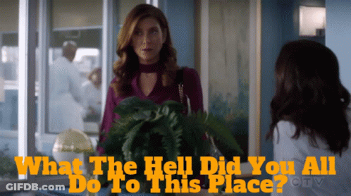 A Woman Talking To Another Woman With The Words What The Hell Did You All Do To This Place On The Bottom GIF