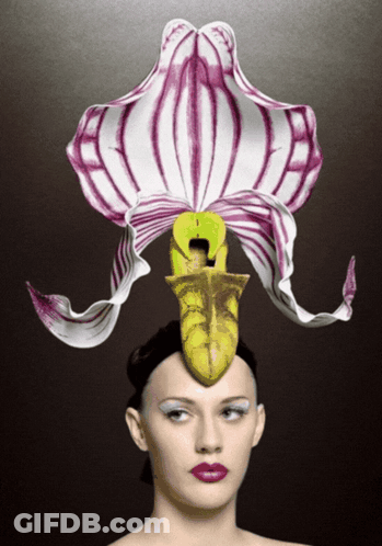 A Woman Wearing A Flower On Her Head GIF