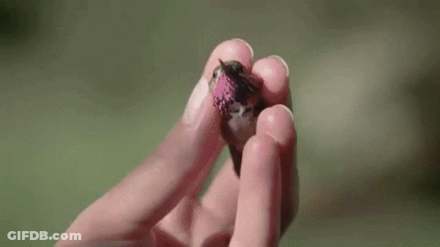 A Woman Wearing A Hat Is Holding Another Woman 'S Hand . GIF