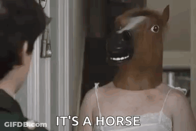 A Woman Wearing A Horse Mask Is Standing In Front Of A Mirror . GIF