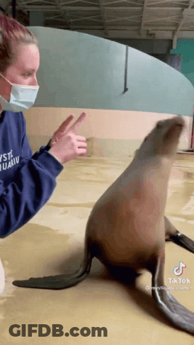 A Woman Wearing A Mask Is Standing Next To A Seal . GIF