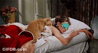 Woman Laying In Bed With Cat And Sleep Mask GIF