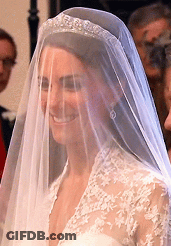 A Woman Wearing A Veil And A Tiara Smiles GIF