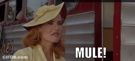 Woman In Yellow Hat In Front Of Bus GIF