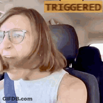 A Woman Wearing Glasses Is Sitting In A Car With A Sign That Says Triggered . GIF