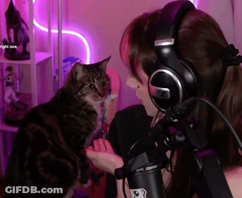 A Woman Wearing Headphones Talks Into A Microphone While A Cat Looks On GIF