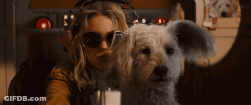 A Woman Wearing Sunglasses And Headphones Holds A Small White Dog GIF