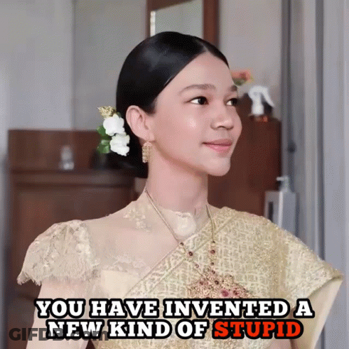 A Woman With A Flower In Her Hair And The Words " You Have Invented A New Kind Of Stupid " GIF